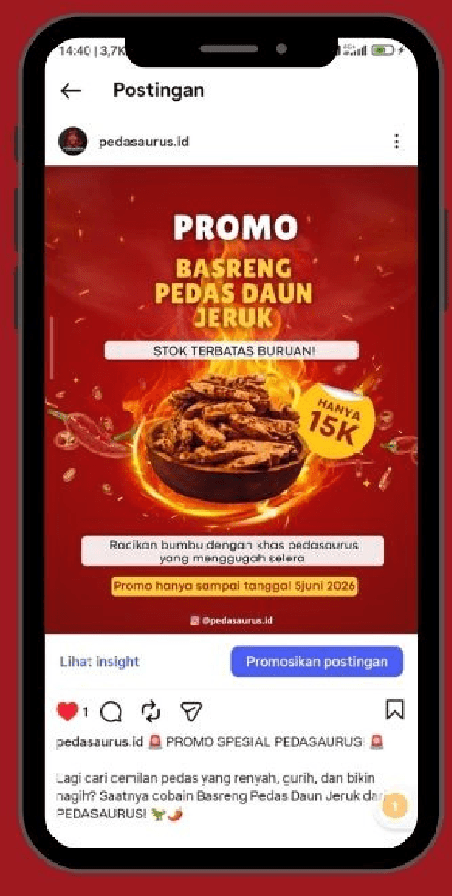 Published Pedasaurus Instagram promo post, conversion stage